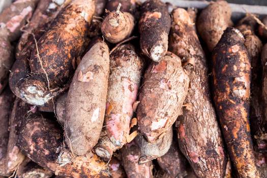  Arrowroot: What it is, properties and how to consume