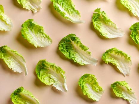  Lettuce: Properties and Benefits of the Vegetable