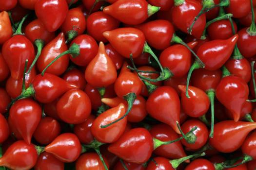  Pimenta biquinho: Přínosy chilli papriček