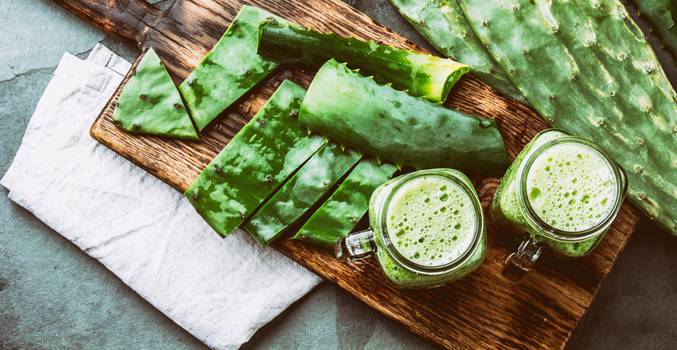  Můžete jíst kaktusy? Zjistěte, jaké jsou jejich výhody a jak je připravit.