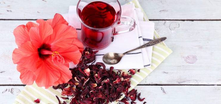  Hibiscus: What is hibiscus and what are the benefits