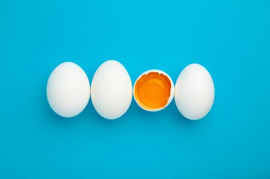  Egg improves eyesight? Learn about the benefits of the protein for eye health