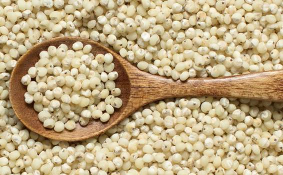  Sorghum: eigenschappen en voordelen van het graan