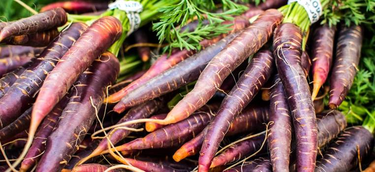  Purple Carrot: Benefits and Properties of the Vegetable