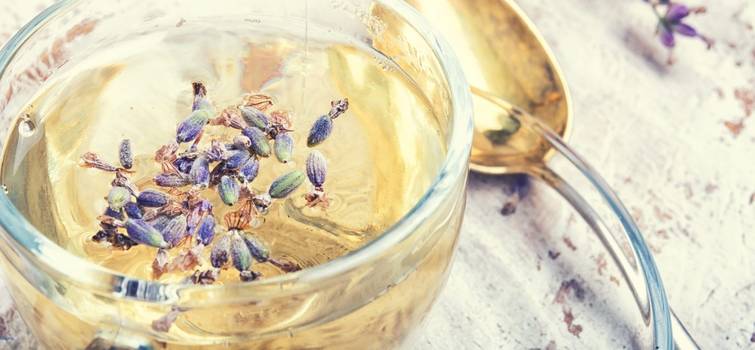  Lavender tea: Properties and benefits