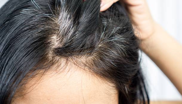  Does plucking out white hair make new hair grow in its place: myth or truth?