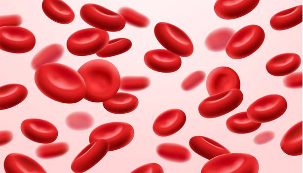  Essential thrombocythemia: know the causes, symptoms and treatments